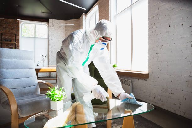 Best Industrial Mold Remediation  in Elk Mound, WI